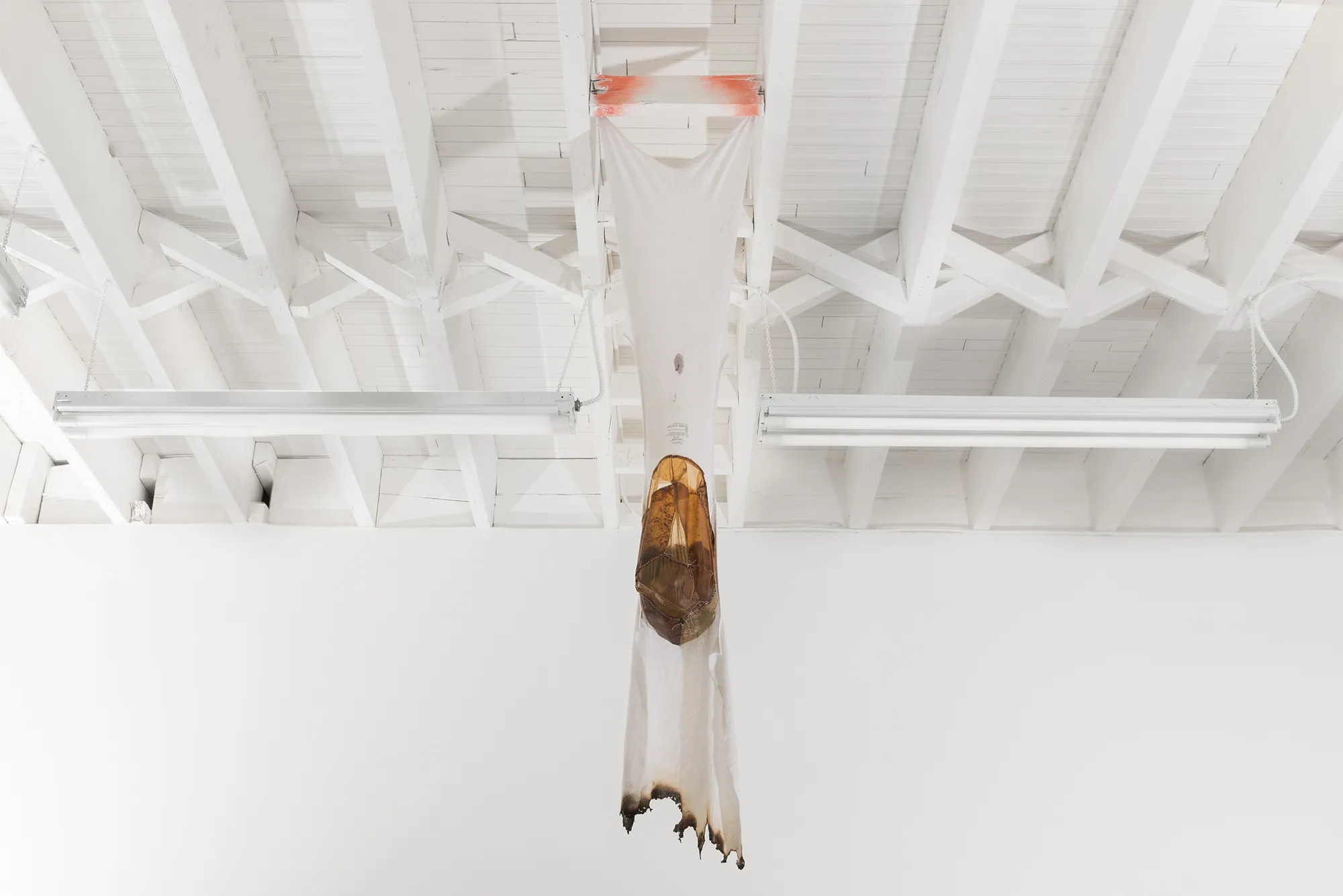 Installation View, marrow. Photo: Yubo Dong
