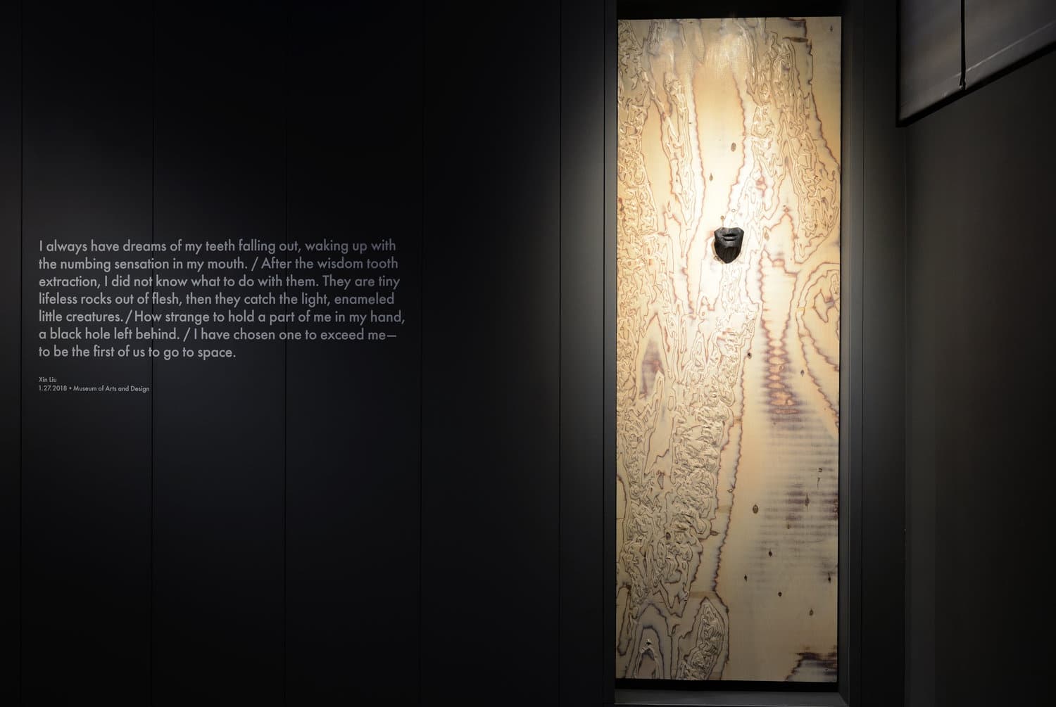 Solo Exhibition: Prologue: A falling tooth at Museum of Arts and Design