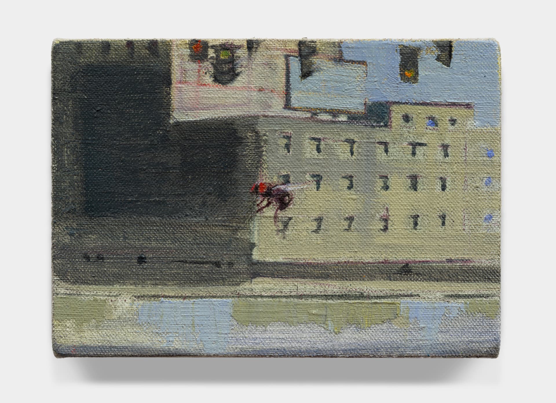 28 June- 9 August, 2025 — view 19