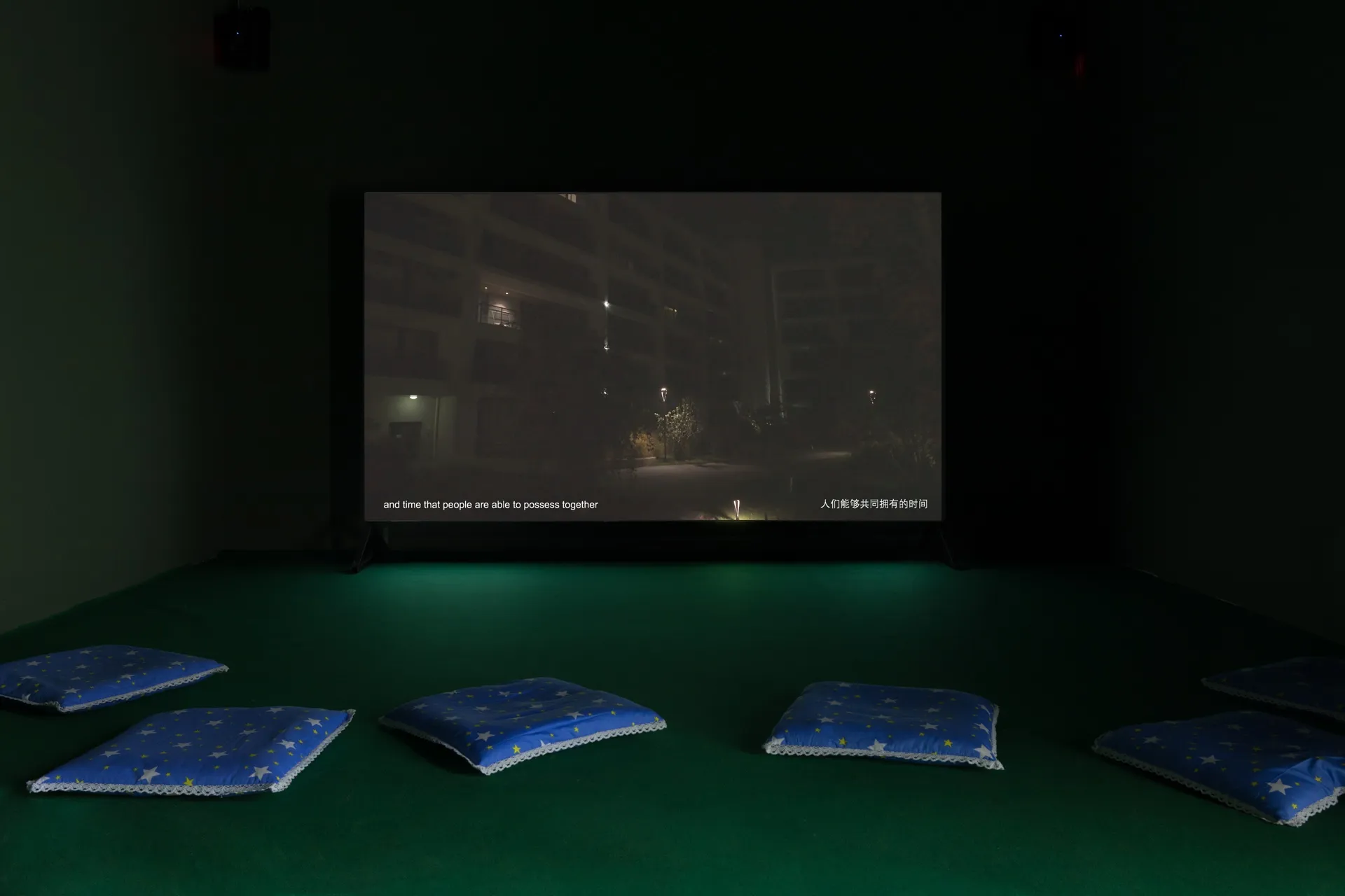 Online Viewing Room — view 13