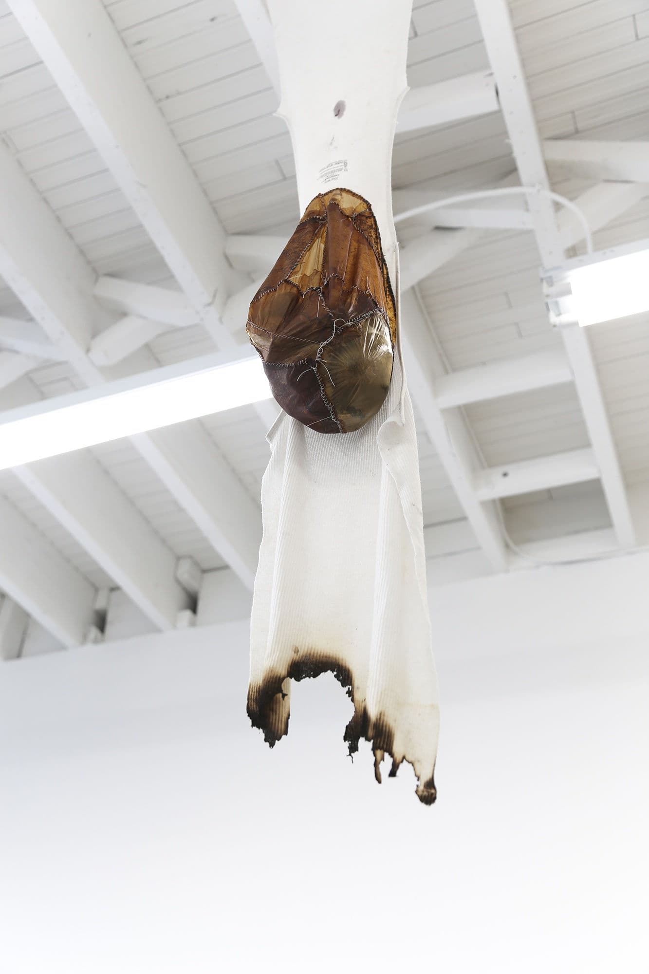Installation View, marrow. Photo: Yubo Dong