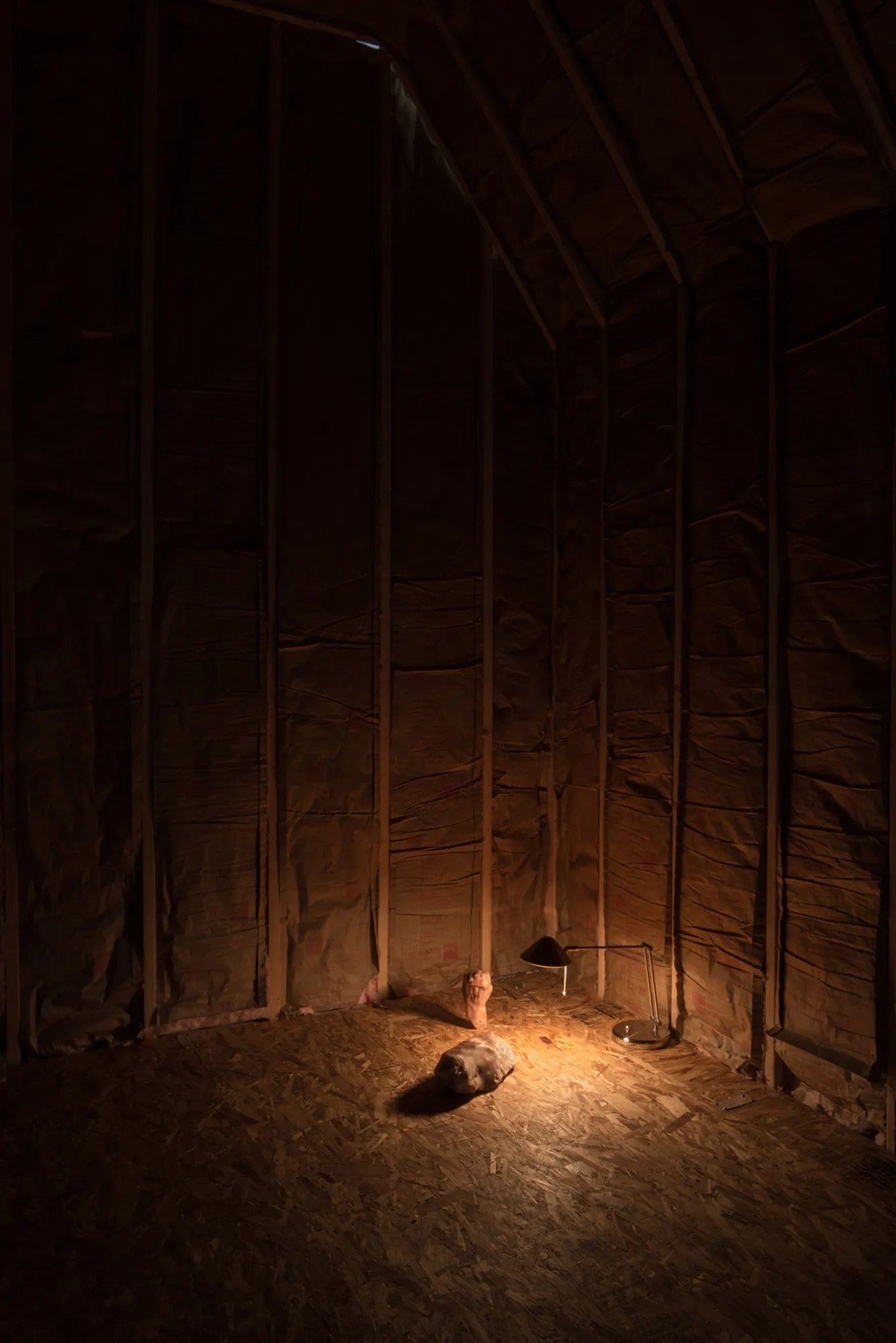 Installation View, marrow. Photo: Yubo Dong