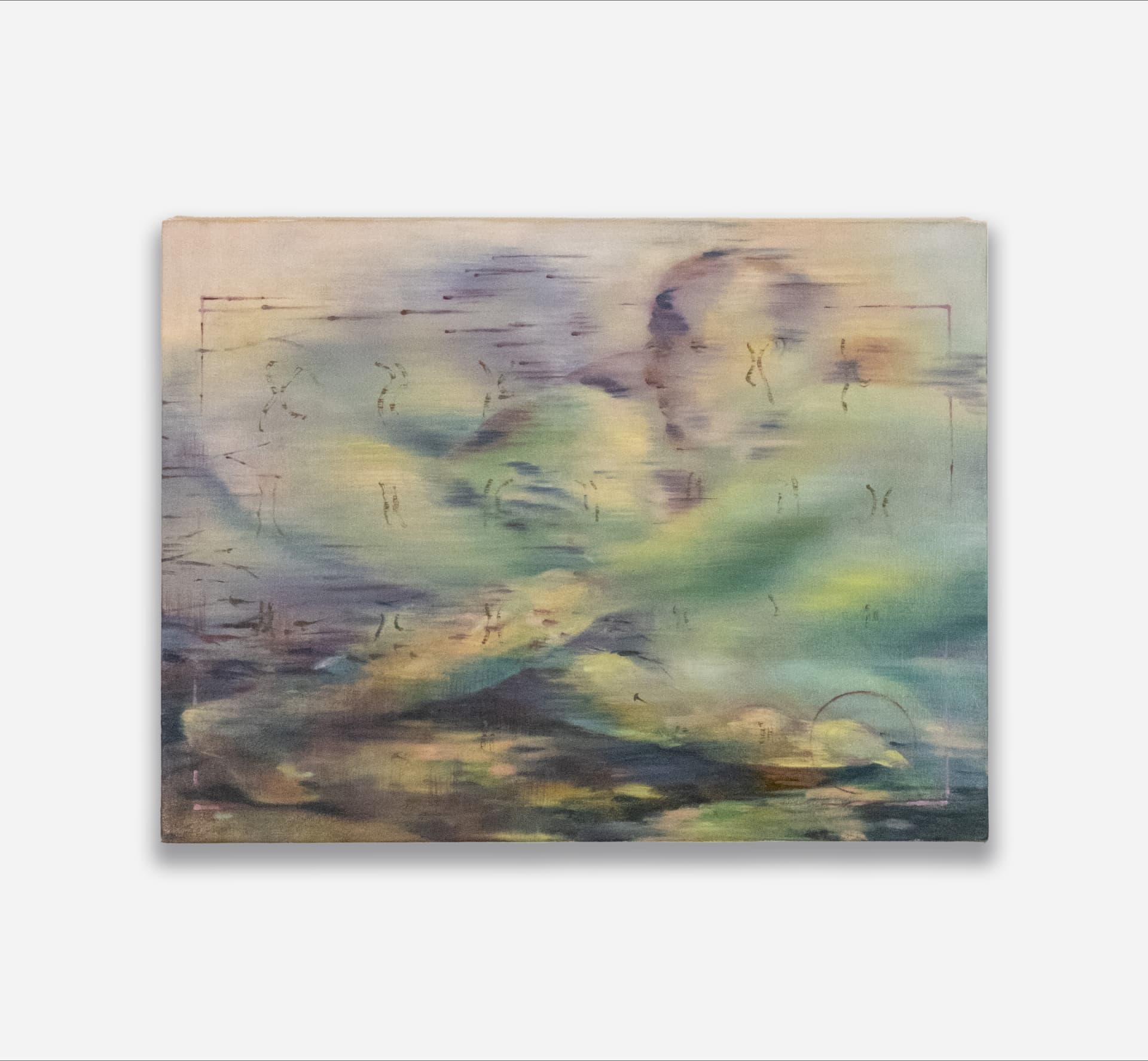 Alice Jiang: Stories of Knowing and Unknowing — view 9