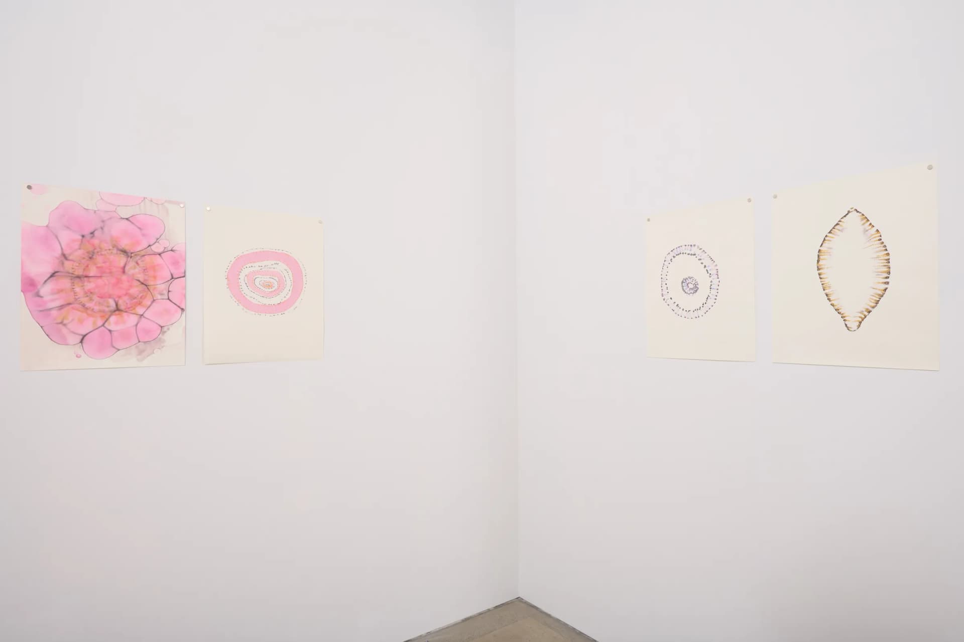Born-Porcelain — view 8