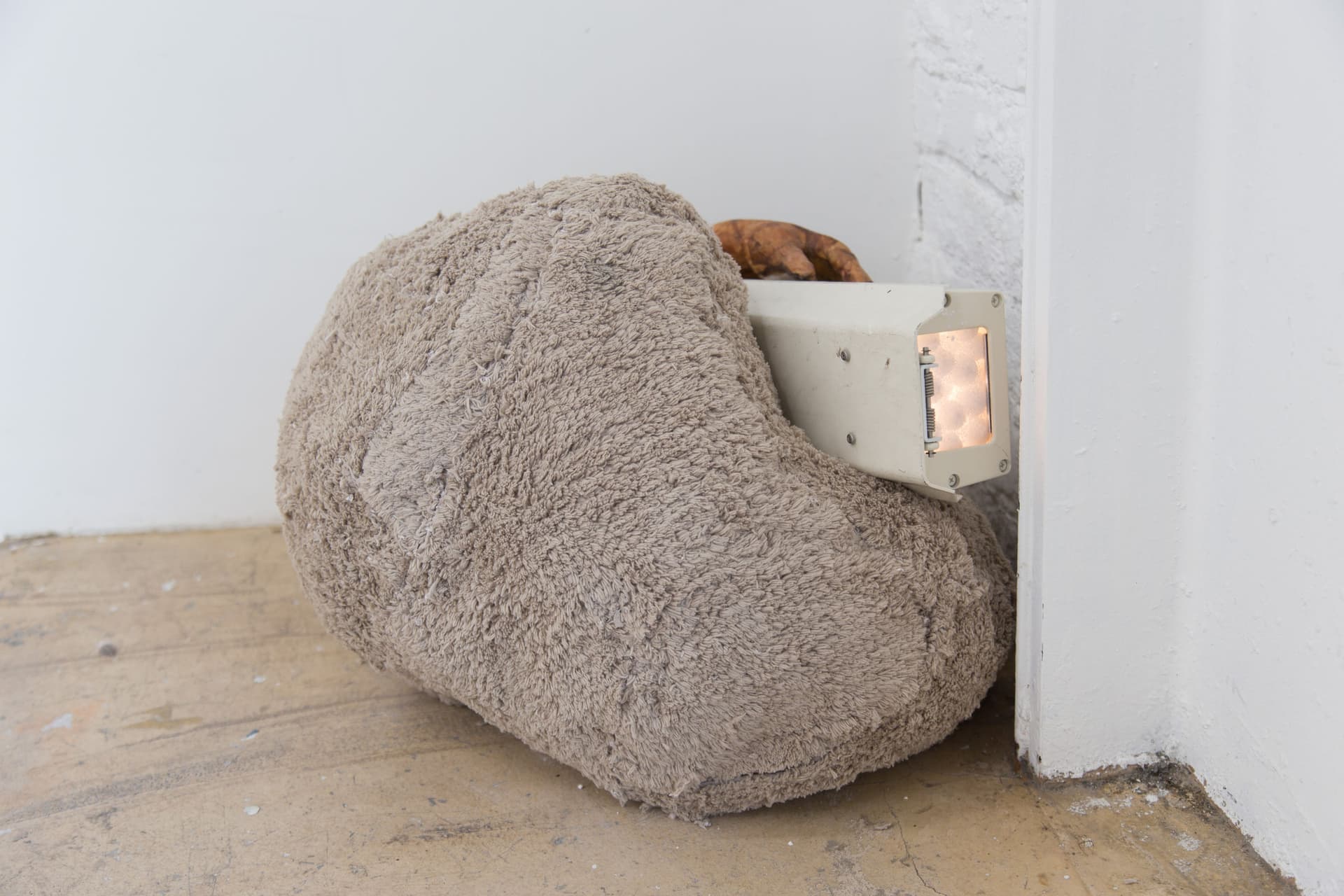 Installation View, marrow. Photo: Yubo Dong