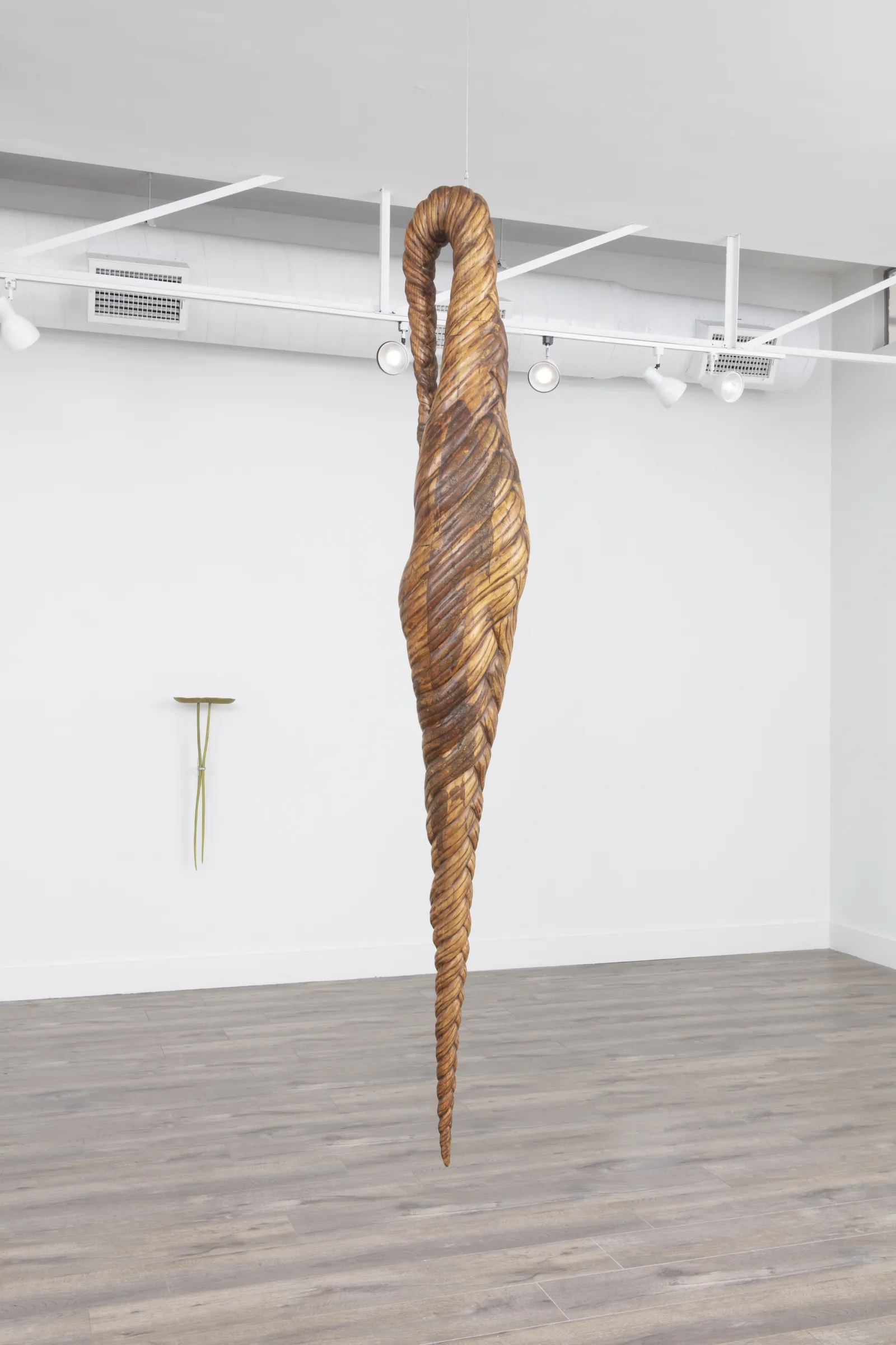A Tangle of Limbs and Long Hair — view 10