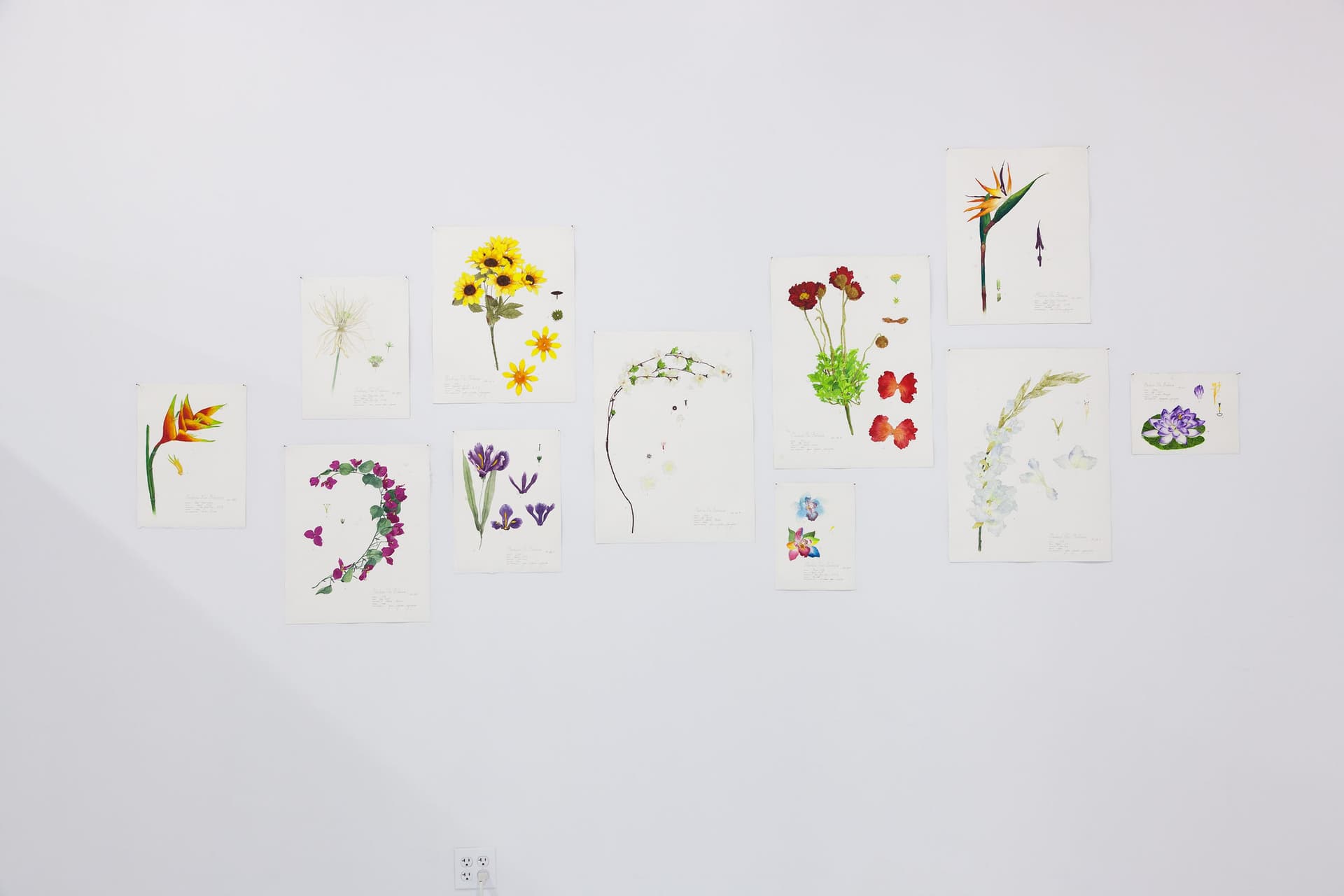 Installation View, Dreaming of Dying Robots and Artificial Flowers.