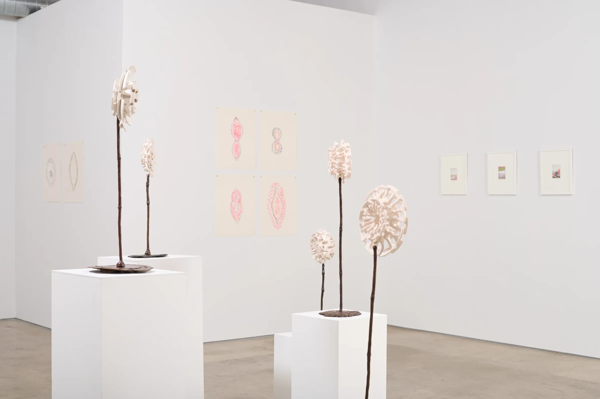 Born-Porcelain — view 10