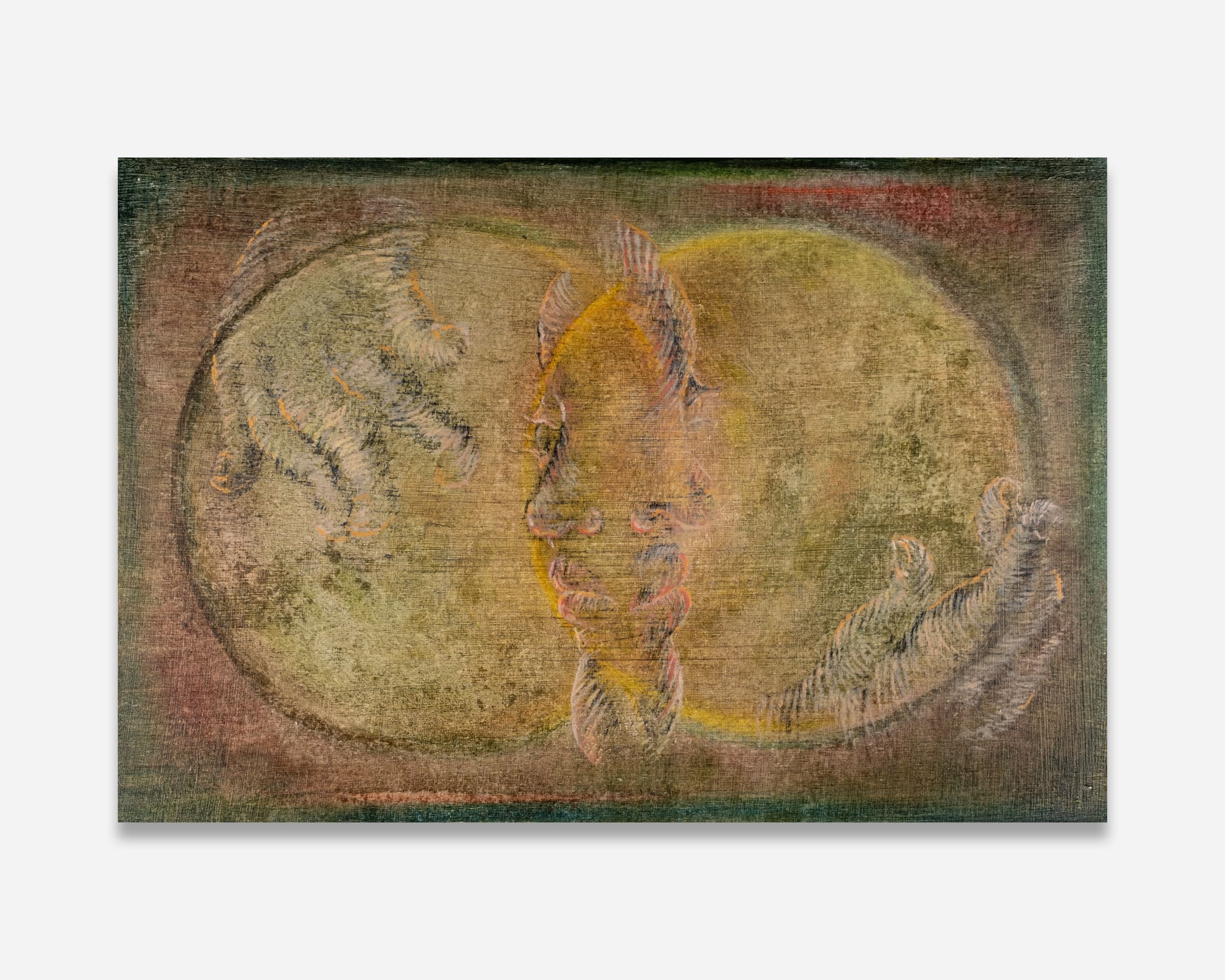 Alice Jiang: Stories of Knowing and Unknowing