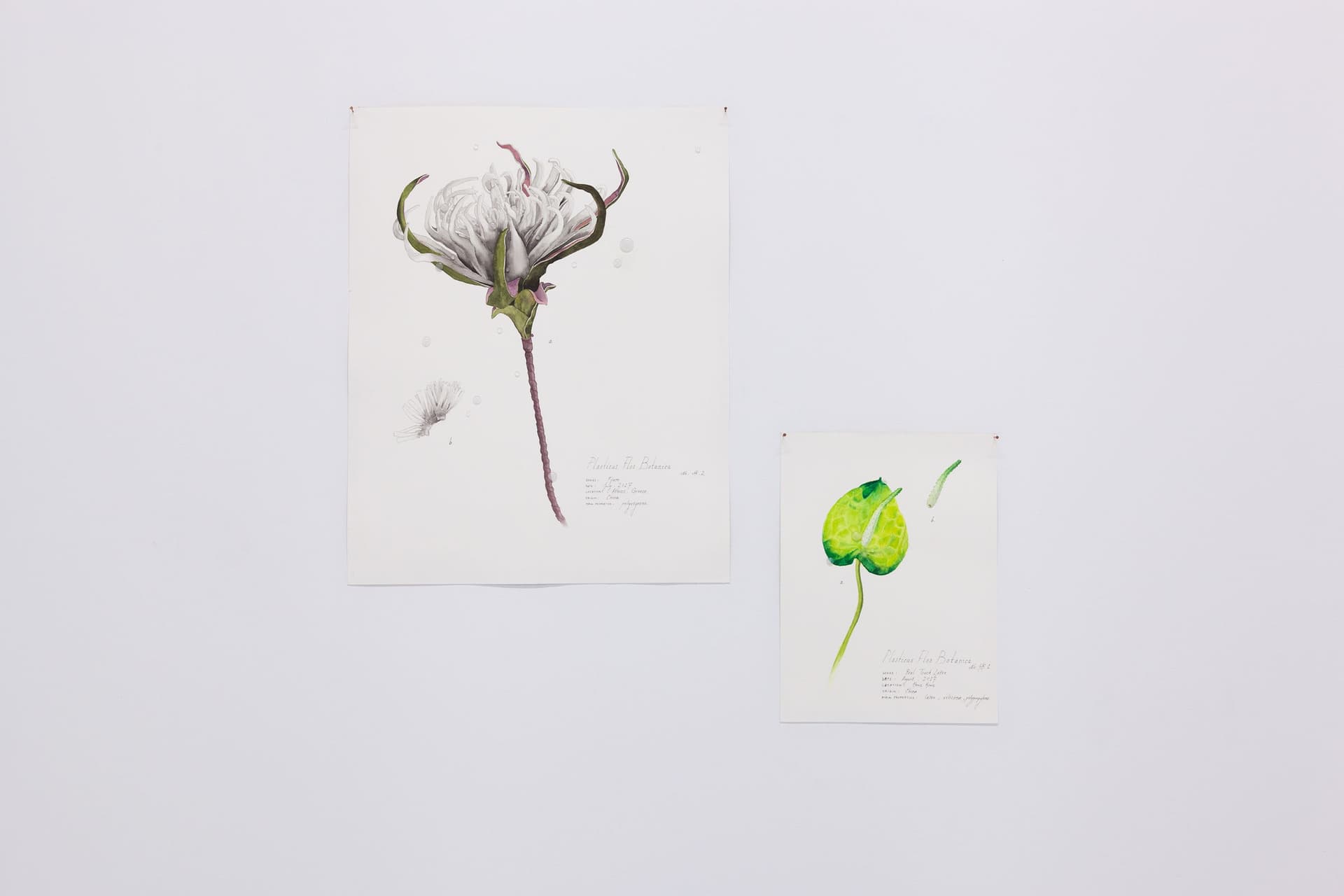 Installation View, Dreaming of Dying Robots and Artificial Flowers.