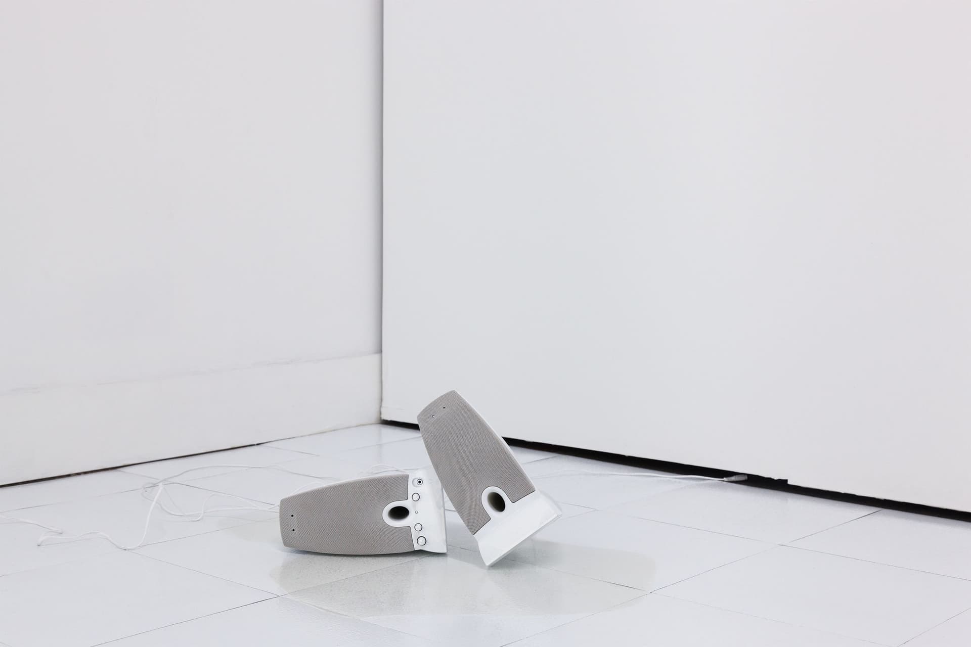 Installation View, Dreaming of Dying Robots and Artificial Flowers.