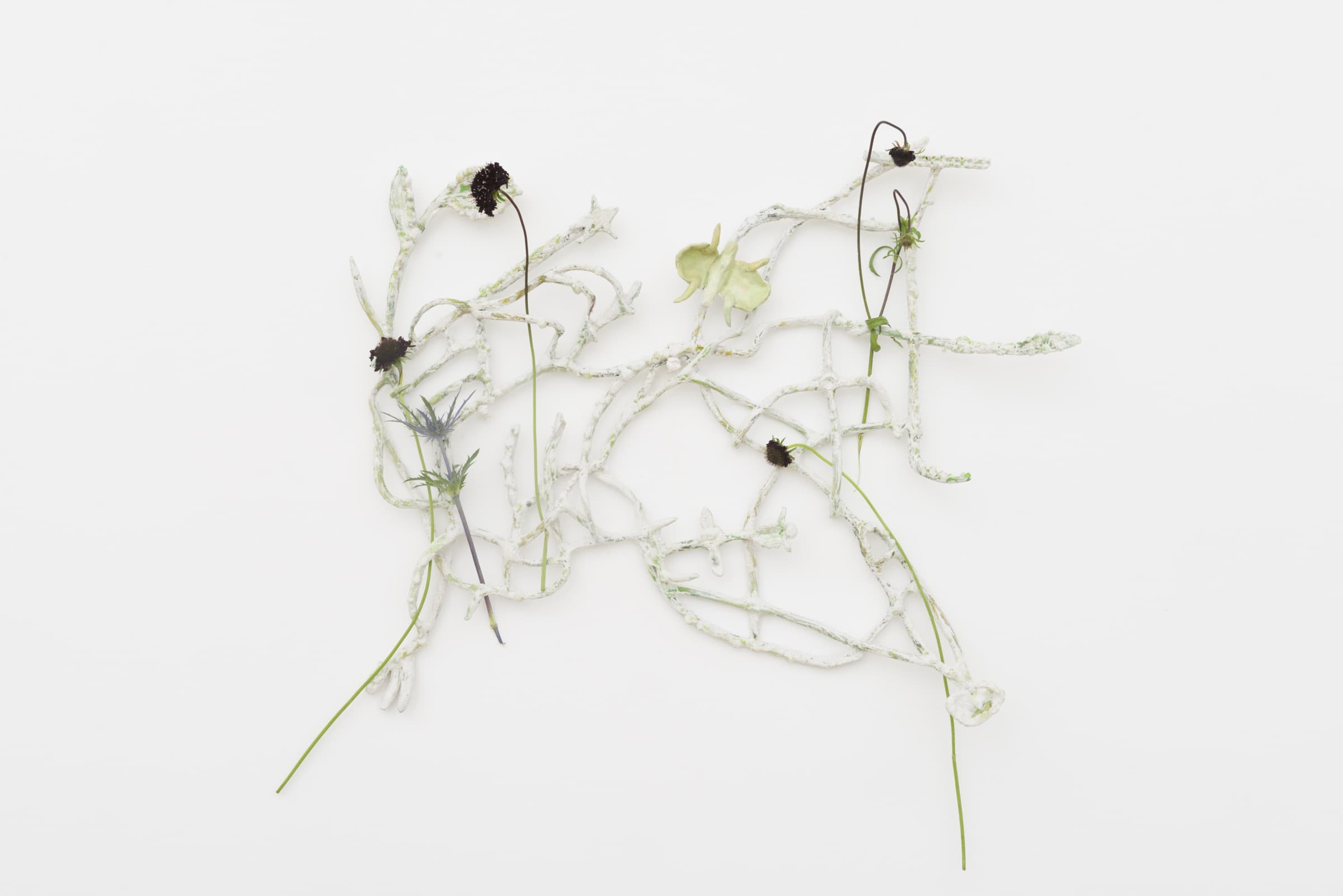 Blossoming Carcass