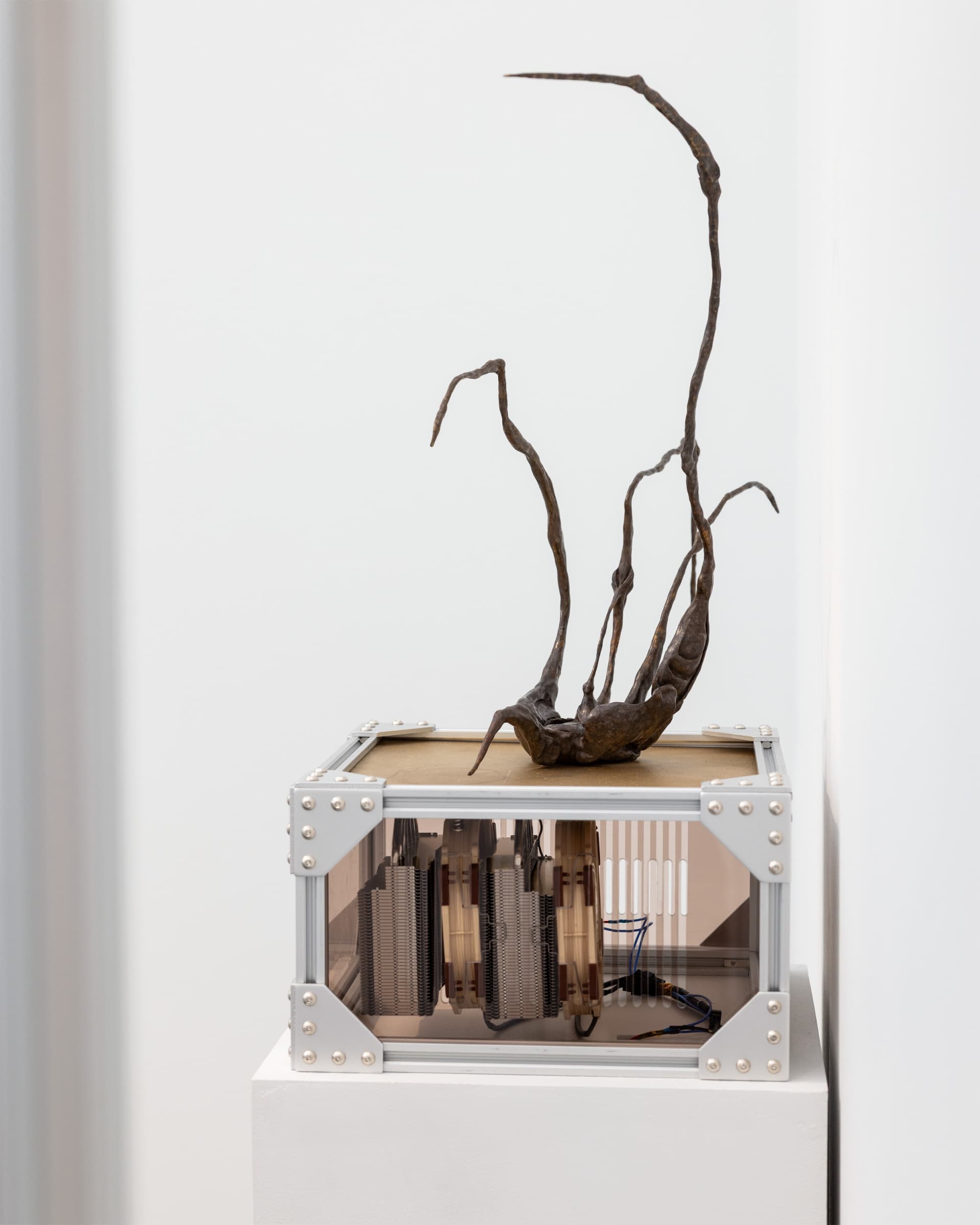 Frieze Los Angeles 2025 — view 4
