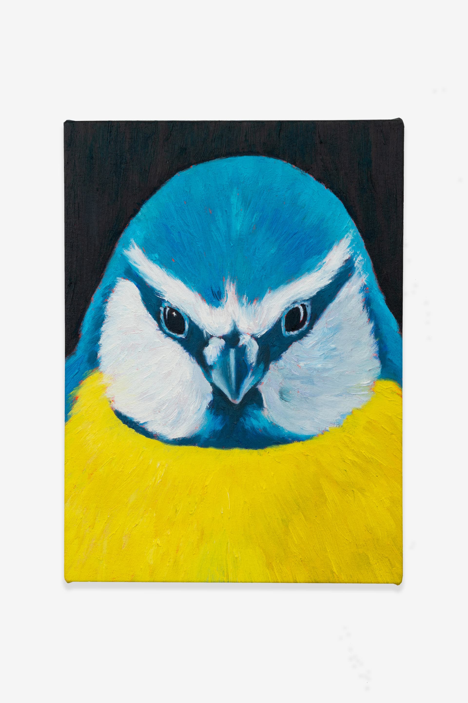 Fawn Rogers: Everything is Sacred, Nothing is Precious; Everything is Precious, Nothing is Sacred — view 11