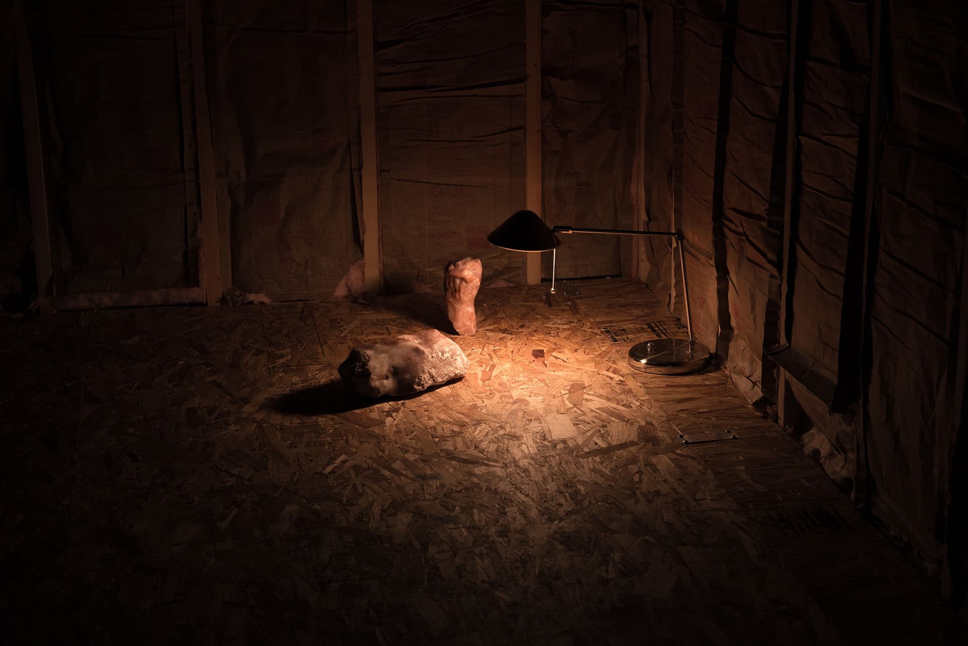 Installation View, marrow. Photo: Yubo Dong