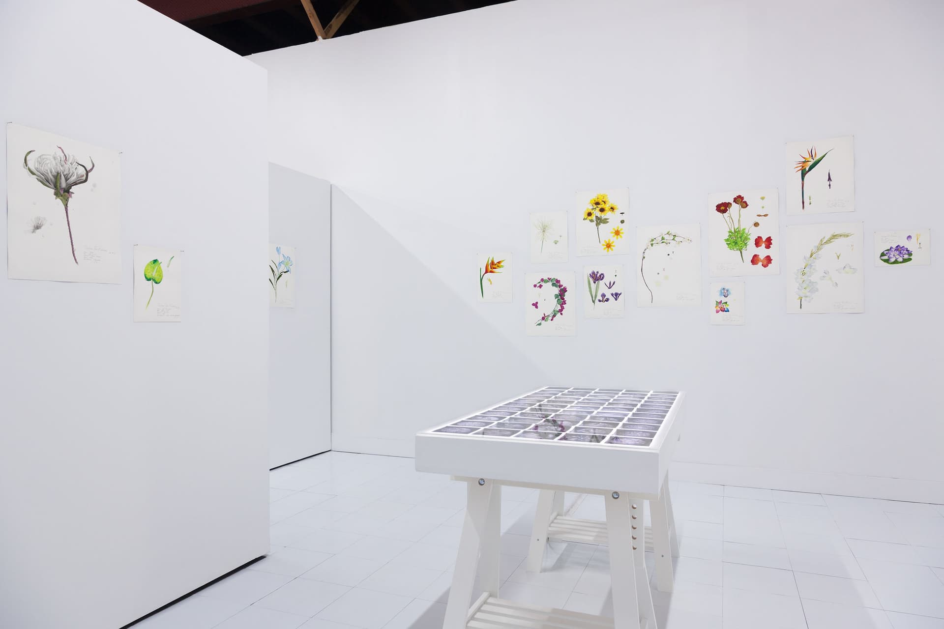 Installation View, Dreaming of Dying Robots and Artificial Flowers.