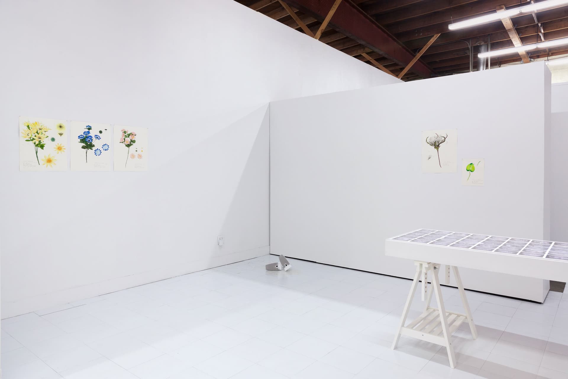 Installation View, Dreaming of Dying Robots and Artificial Flowers.